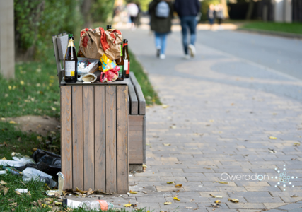 Litter on rural Welsh roads: A case study from Penisa’r Waun